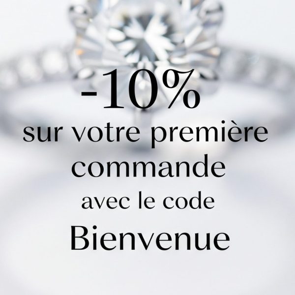 Remise de Bienvenue